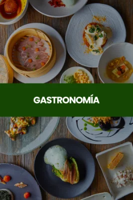 Gastronomía