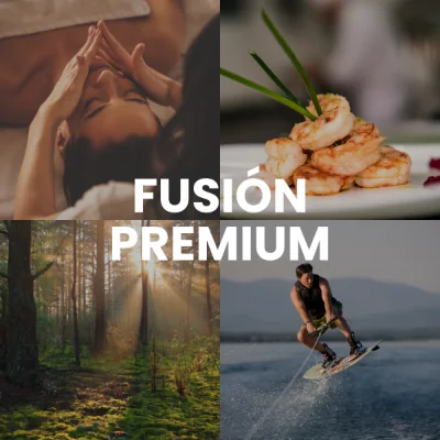 Pack Fusion Premium