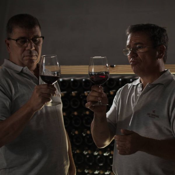 Bodega Del Gredal