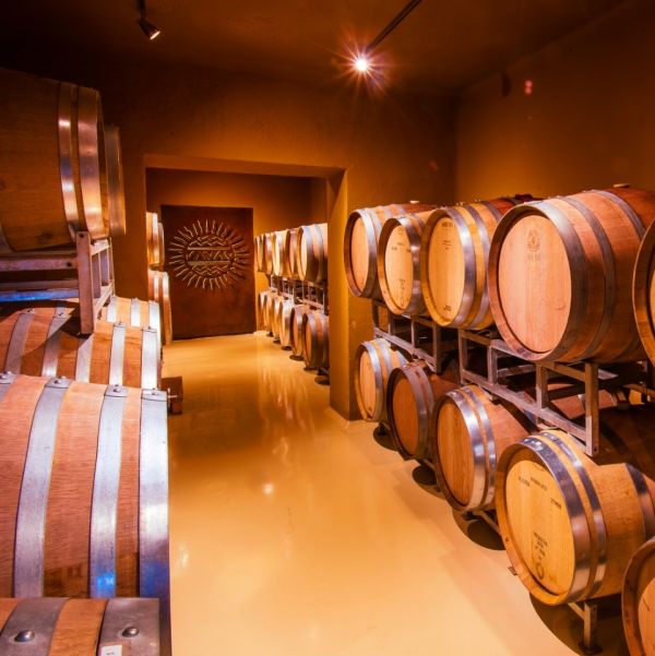 Bodega Terra Camiare